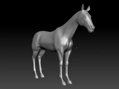 Horse animal steed Tpose land ride cavalry donkey mule racing 3D model