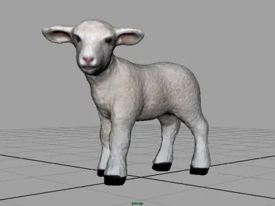 SHEEP lamb 3D model
