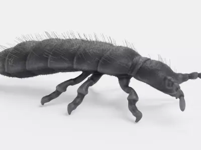 -Snow Flea- 3D model
