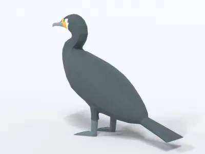 Low Poly Cartoon Great Cormorant Low-poly 3D model