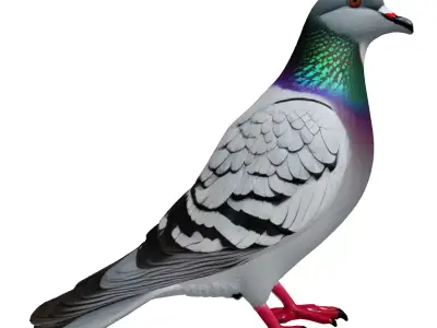 Realistic Pigeon 3D Model Low-poly 3D model