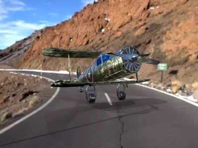 Sports aircraft camouflage Low-poly 3D model