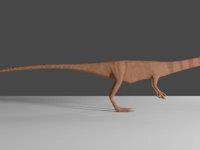 Coelophysis Low-poly 3D model