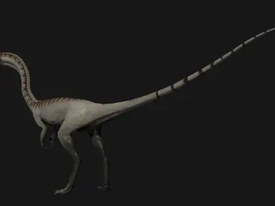 Coelophysis dinosaur Low-poly 3D model