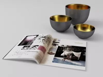 Bowls and Magazine - FREE Free 3D model