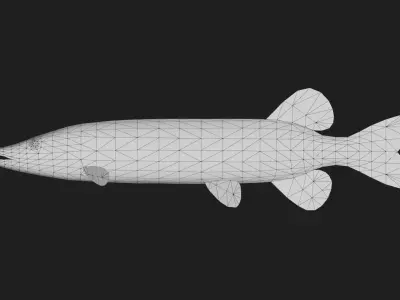 Pike fish Low-poly 3D model