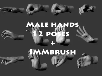 Male hands 12 poses 3D model