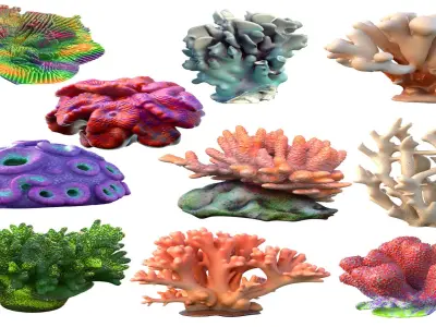Coral reef collection 11-20   Low-poly 3D model
