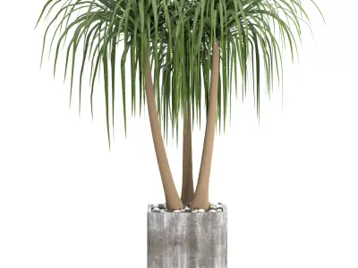 Indoor Plants in Ferm Living Bau Pot Large - Set039 3D model
