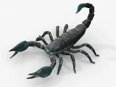 Low Poly Scorpion Rigged Low-poly 3D model