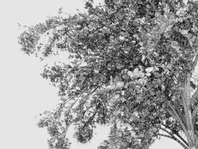 Outdoor Tree  Free 3D print model