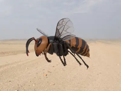 Vespa Mandarinia Rigged 3D model