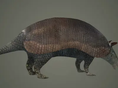 armadillo animal mammal critter wild zoo dasypus 3D model