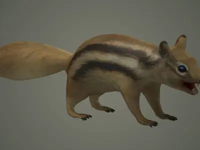 squirrel cute animal mammal wildlife little hamster marmot 3D model