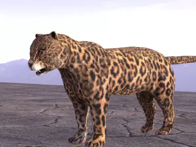 Leopard jaguar running in desert 3D model