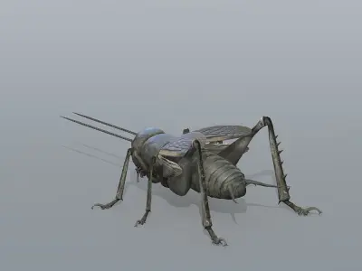 Gryllulus   Cricket Low-poly 3D model