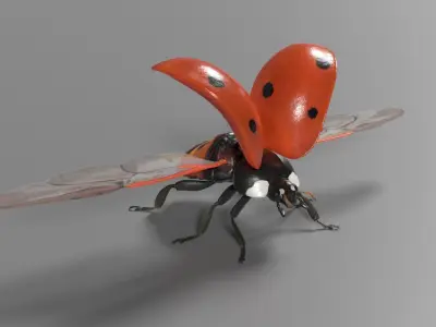 Ladybug Animated 3D model