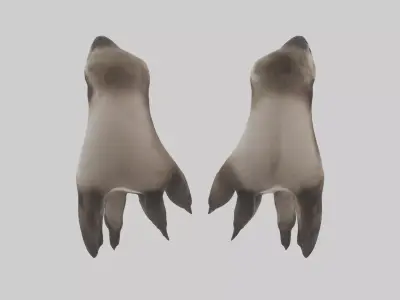 Otter Paws Low-poly 3D model