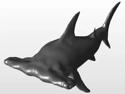 Hammerhead Shark Free 3D model