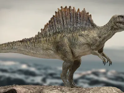 Spinosaurus Rigged 3D model Low-poly 3D model