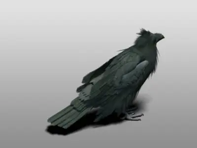 Raven 3D model
