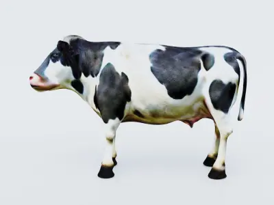 Cow Animal Free 3D model