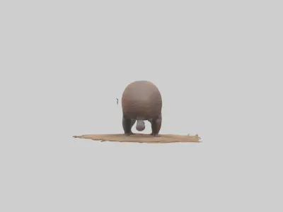 Echidna burrowing model Low-poly 3D model