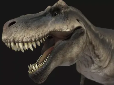 Tyrannosauru rex Low-poly 3D model