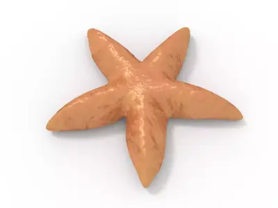 Starfish Rigged 3D model
