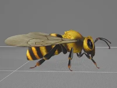 Bee Animation 3D model