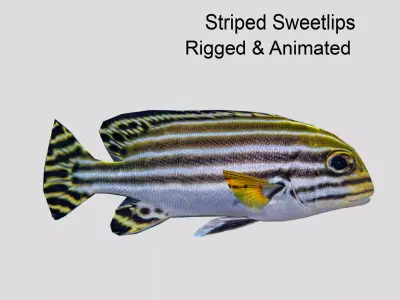 Striped sweetlips Low-poly 3D model
