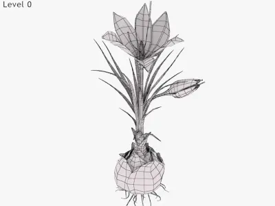 Plant Parts of Crocus with Saffron Low-poly 3D model
