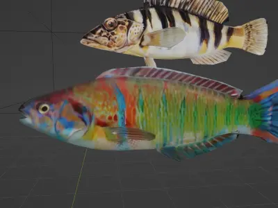 Mediterranean Fishes Set Nine piece low-poly 3D model FREE Free low-poly 3D model