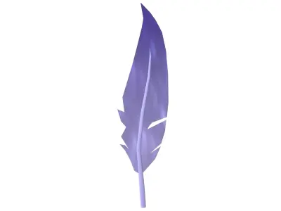 Feathers v1 005 Low-poly 3D model