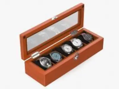Watch Display Box with Watch Set 3D model