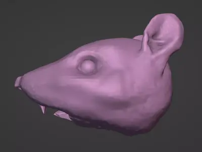 Rat Head 3D Model - Free High-Poly Sculpt Free 3D model