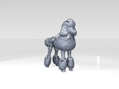 Poodle Dust Voronoi 3D model