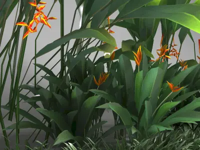 Tropical plant set Low-poly 3D model