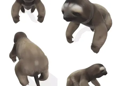 Chill the Stylized Sloth 3D model