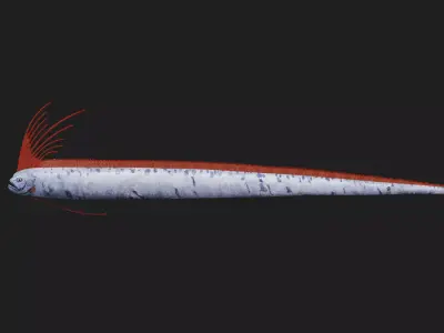 Giantoarfish Low-poly 3D model