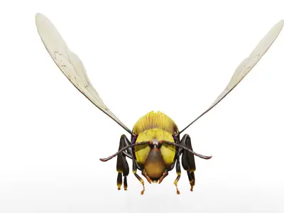 Detailed Animated Buzzing Honey Bee  3D model