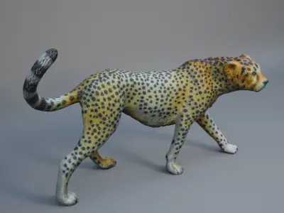 Cheetah 3D model