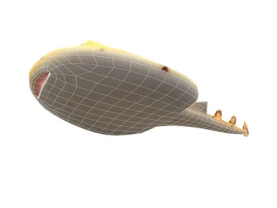 Nacrine Bancrofti Animated Fish  Low-poly 3D model