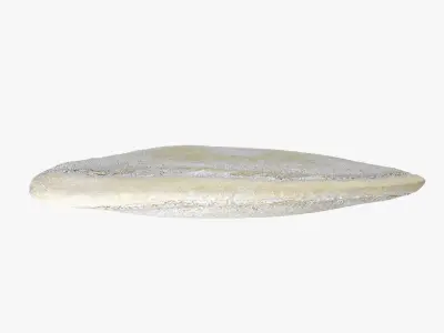 Pumpkin Seed 01 3D model