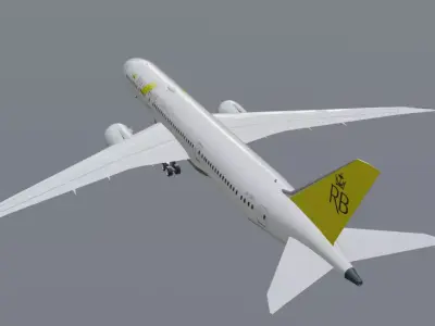 Royal Brunei Boeing 787-9 Dreamliner Low-poly 3D model