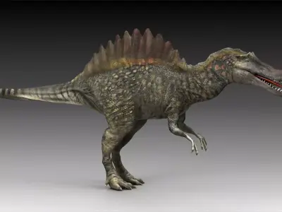 spinosaurus dinosaur jurassic prehistoric reptile creature  3D model