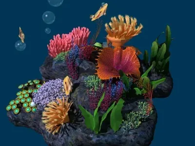 Coral reef transparent 3D model
