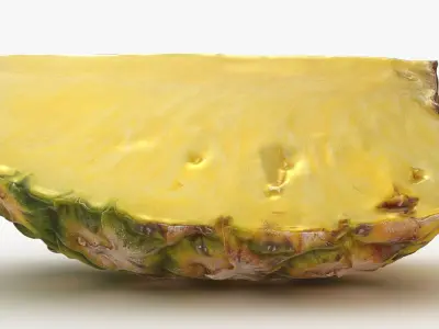 Pineapple Slice 3D model