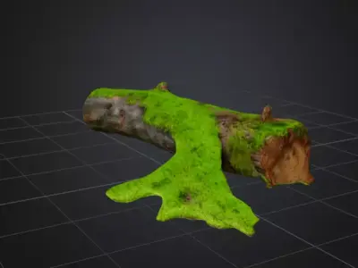 Moss-Covered Fallen Log 3D Model 3D model