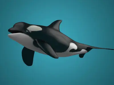 Killer whales Killer ocean  toothed  whales marine animals 3D model
